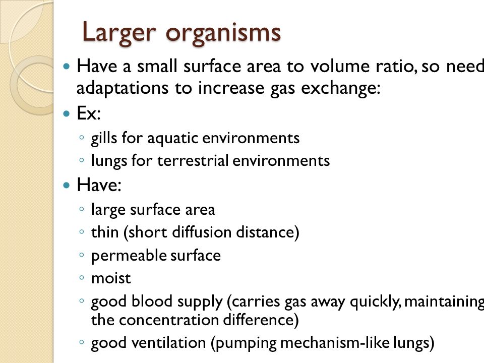 Gas exchange in organisms